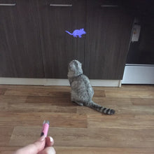 Load image into Gallery viewer, Amazingly Cat Toy Creative and Funny Pet Cat Toys LED Pointer light Pen With Bright Animation Mouse
